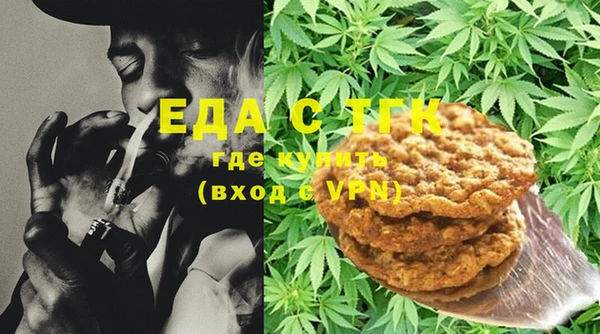 индика Киреевск