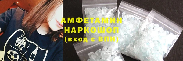 индика Киреевск