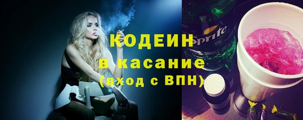 индика Киреевск