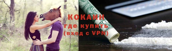 индика Киреевск