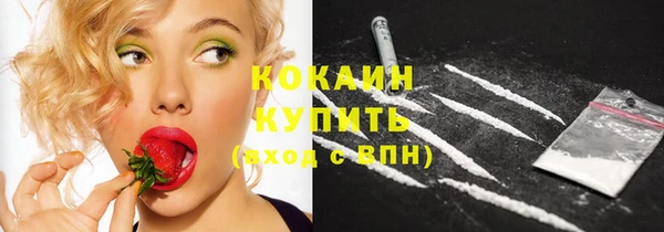 индика Киреевск