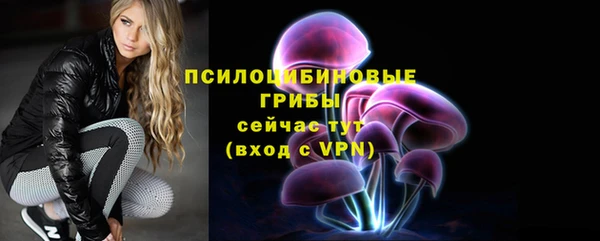 стаф Киренск