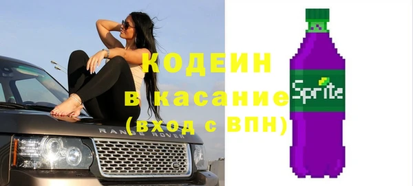 индика Киреевск