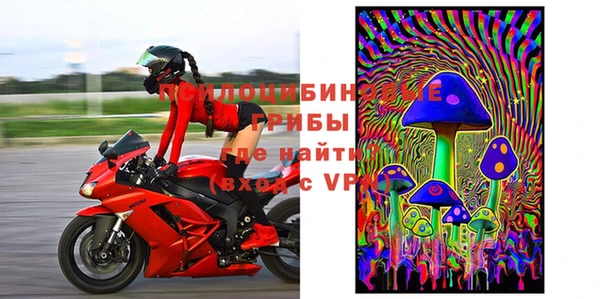 индика Киреевск