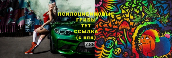 стаф Киренск