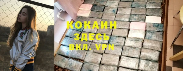 индика Киреевск