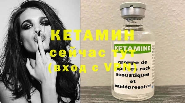 индика Киреевск