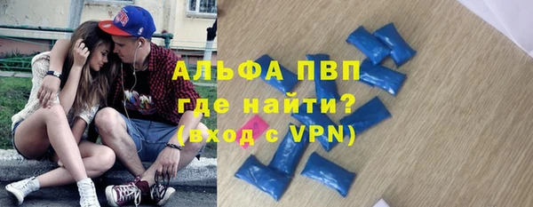 индика Киреевск