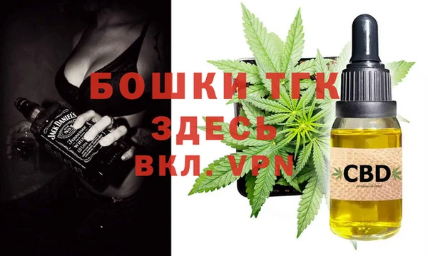 индика Киреевск