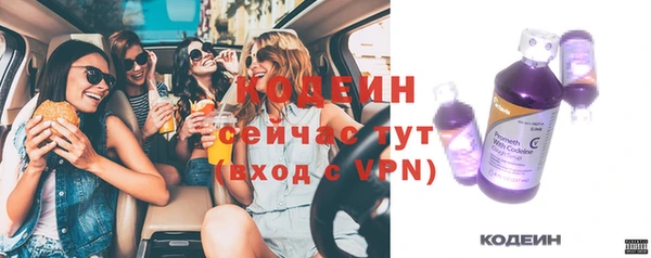 индика Киреевск