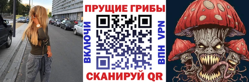 Псилоцибиновые грибы MAGIC MUSHROOMS  Купить где  Маркс 